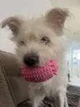 Ubby