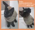 Lukas