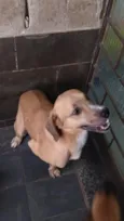 não tem
