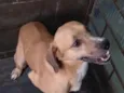 não tem