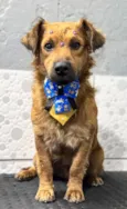 Billy