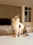 Magali 