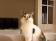 Magali 