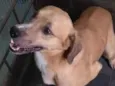 não tem
