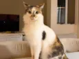Magali 