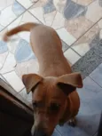 Mel