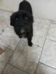 Marley