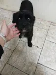 Marley