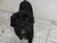 Marley