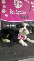 NINA