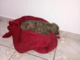 Não tem nome