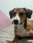 Bruno