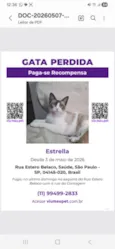 Estrella