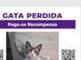 Estrella
