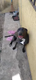 Pipoka