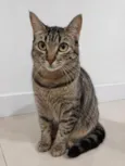Lala