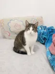 Nina