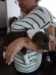 Sapequinha 