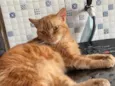 Faísca