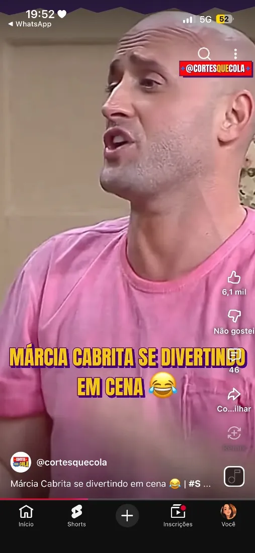 Cachorro raça SRD-ViraLata idade 2 anos nome Apólo