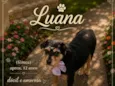 Luana