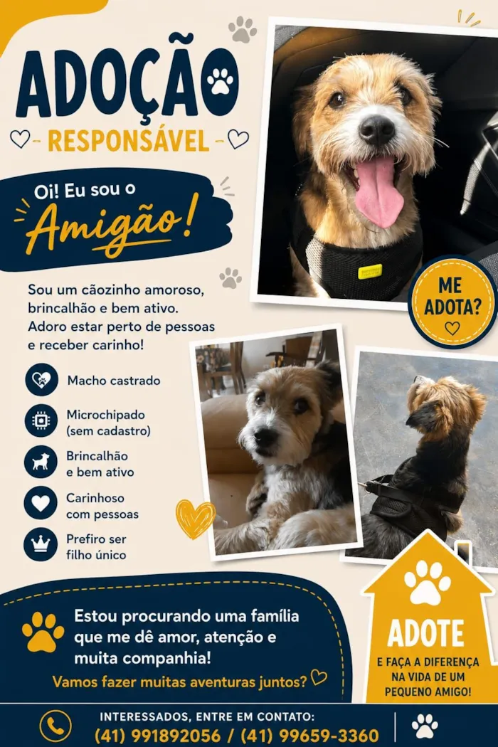 Cachorro raça SRD-ViraLata idade 1 ano nome Sem nome (Pedrinho pela última família) 