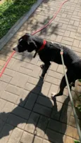 José