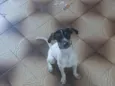 Bob