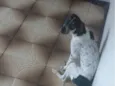 Bob