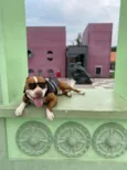 Killer