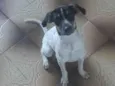 Bob