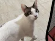 Mila 