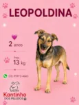 Leopoldina 