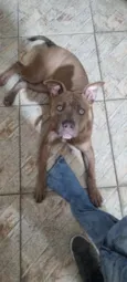 Zoey