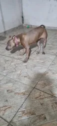 Zoey