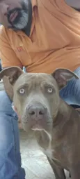 Zoey