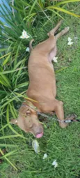 Zoey
