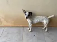 Nala