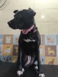 Pandora