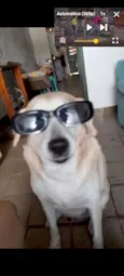 Mel