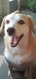 Mel