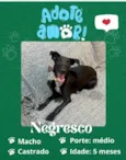 Negresco