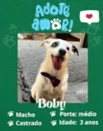 Boby