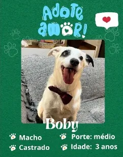 Cachorro raça SRD-ViraLata idade 3 anos nome Boby