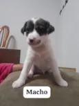 sem nomes