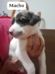 sem nomes