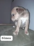 sem nomes