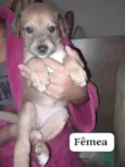 sem nomes