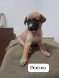 sem nomes