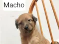 sem nomes